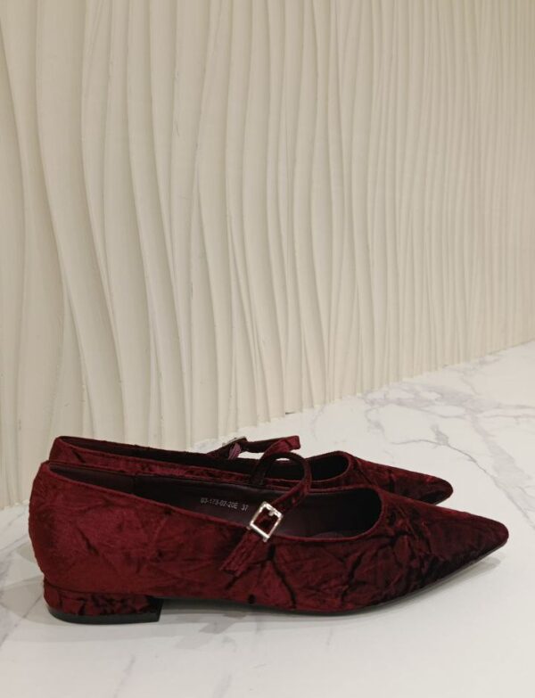 КОМПЛЕКТ БАЛЕТКИ ЖЕНСКИЕ + аксес/шаль/палантин